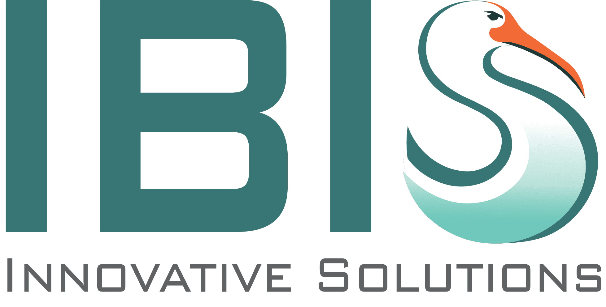 Ibis Innovative Solutions